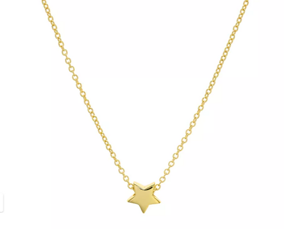 Tiny Star Pendant Necklace